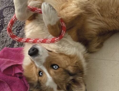 Indoor-Training für ungemütliche Tage