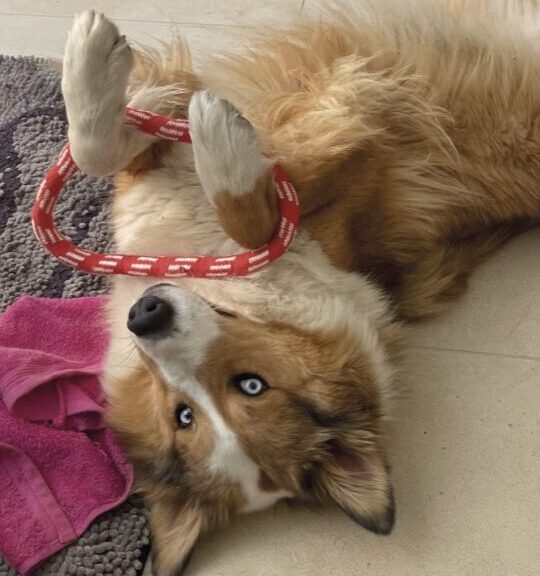 Indoor-Training für ungemütliche Tage