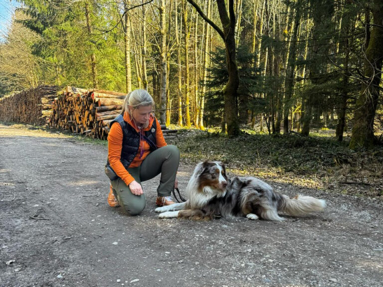 Privatunterricht Coaching