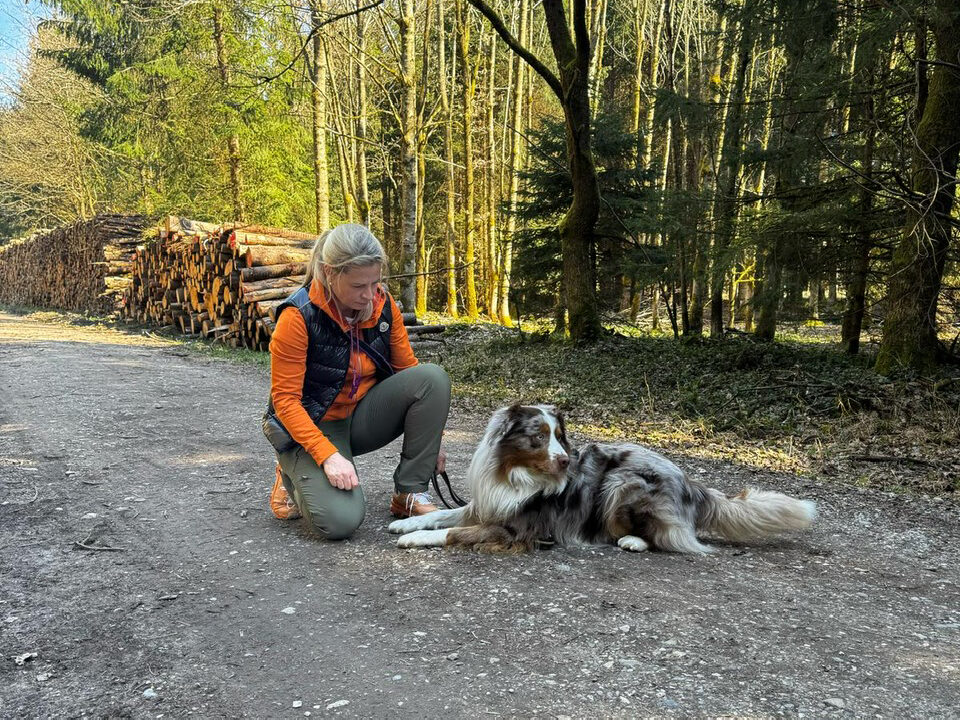 Privatunterricht/ Coaching