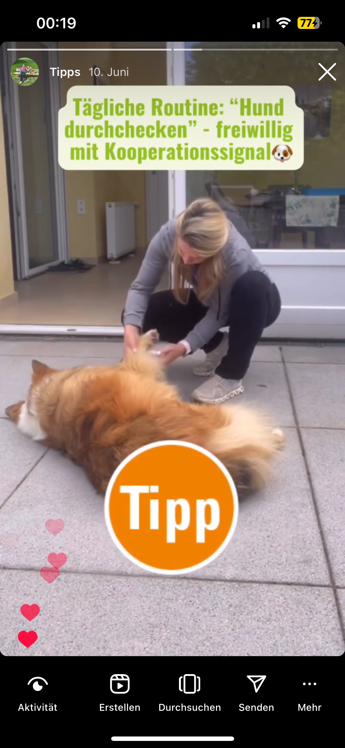 tipps