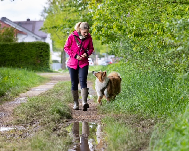image4 Hundetraining