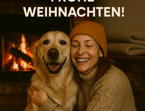 Jahresrückblick – Erfolge würdigen und neue Ziele setzen