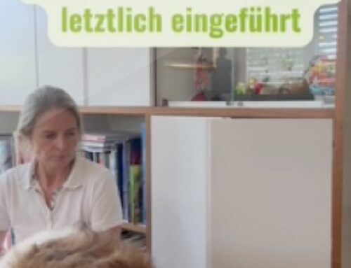 Türe schließen mit Nasentarget