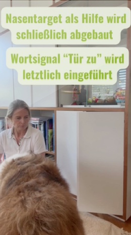 Türe schließen mit Nasentarget