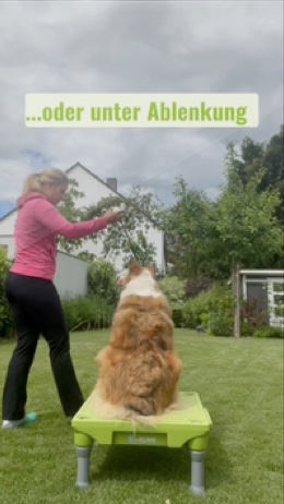 Warum ist Signalkontrolle wichtig?
