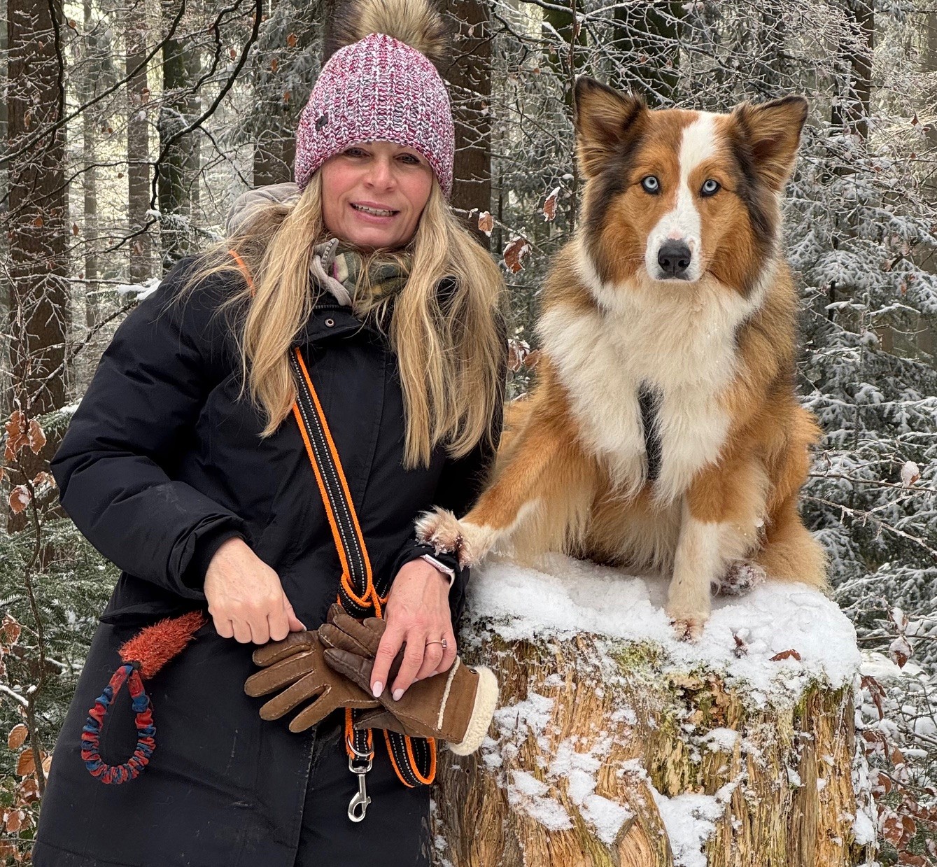 Neues Jahr, neues Training – Wissenschaftlich fundiert zum Erfolg