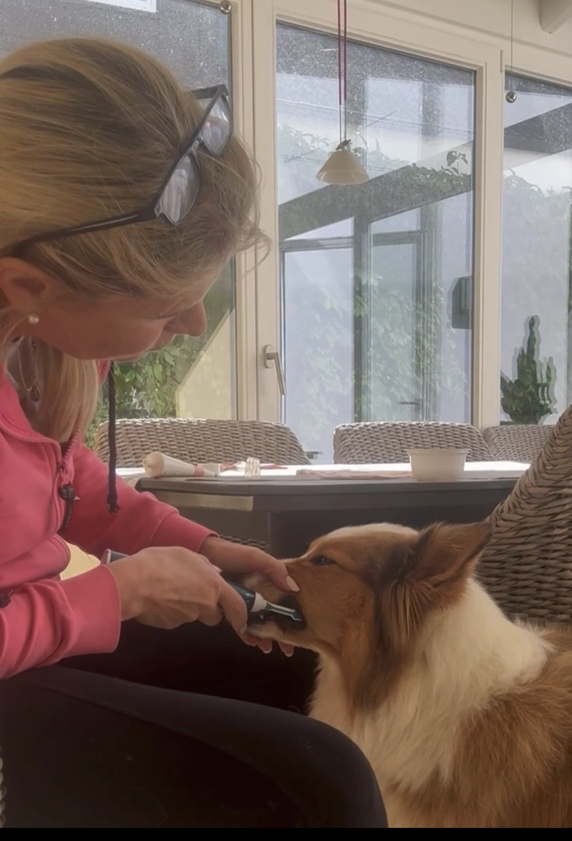 Hundekommunikation richtig deuten und warum „Mitreden“ viel besser ist als Aushalten