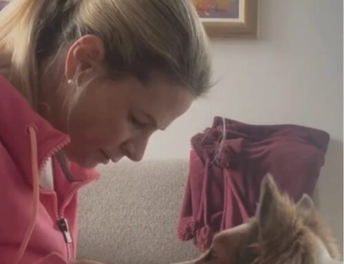 Medical Training – Tierarztbesuche stressfrei gestalten