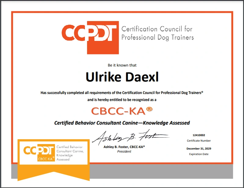 Internationale CCBC-KA® Zertifizierung für professionelle Verhaltensberatung bei Hunden durch Ulrike Däxl
